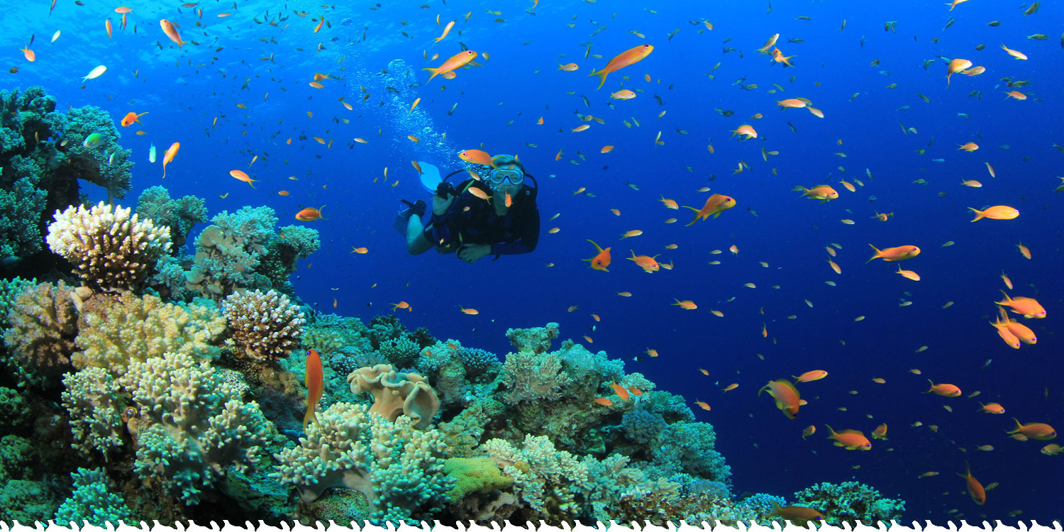 sharm
